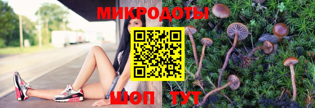 Псилоцибиновые грибы мухоморы Борзя