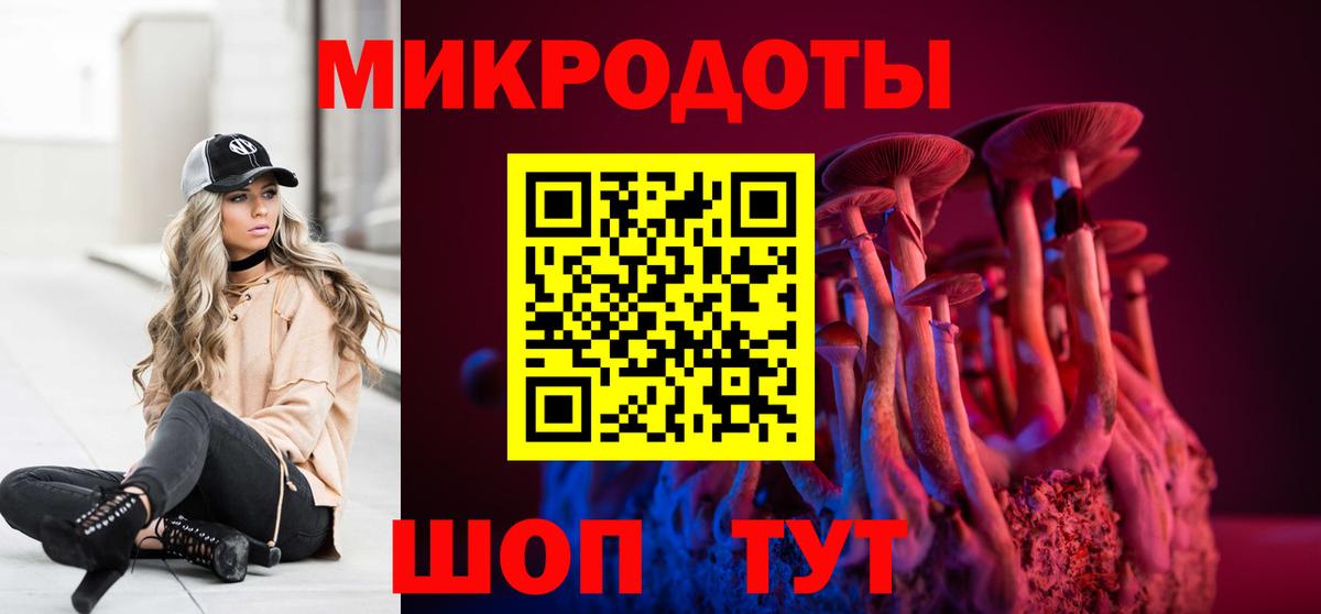 Борзя  Галлюциногенные грибы Cubensis  Вход с VPN  Псилоцибиновые грибы Cubensis 